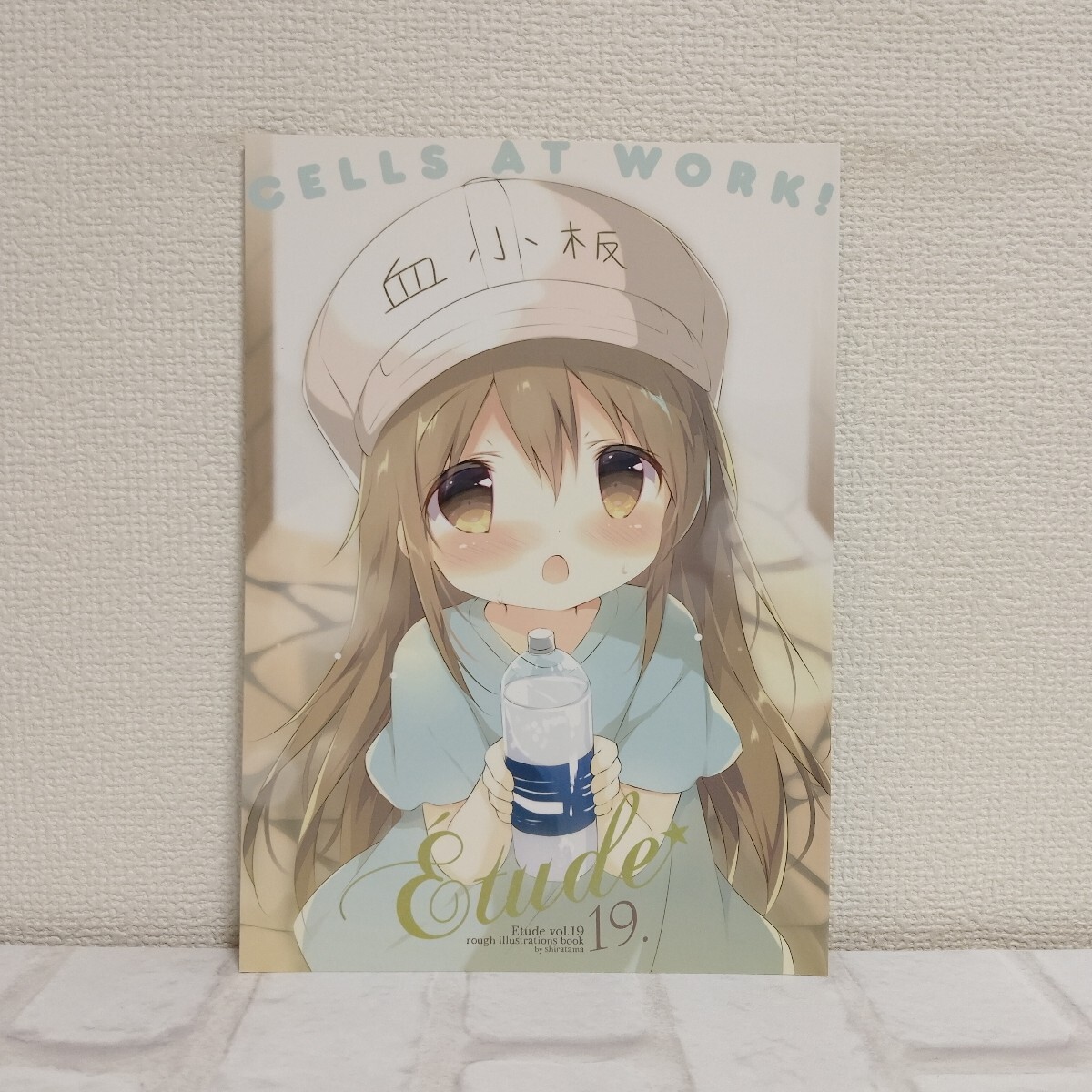 Amazon.co.jp: コミケ c102 しらたまこ 紙袋付き新刊セット 全