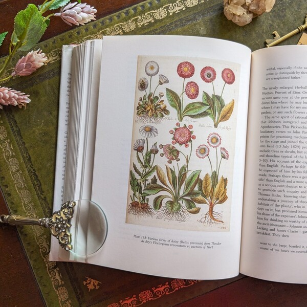 ボタニカルアートでめぐる、植物分類の知と美♪古書洋書 植物図鑑