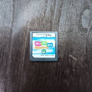 ニンテンドー DS ぼくとシムのまち DSソフト
