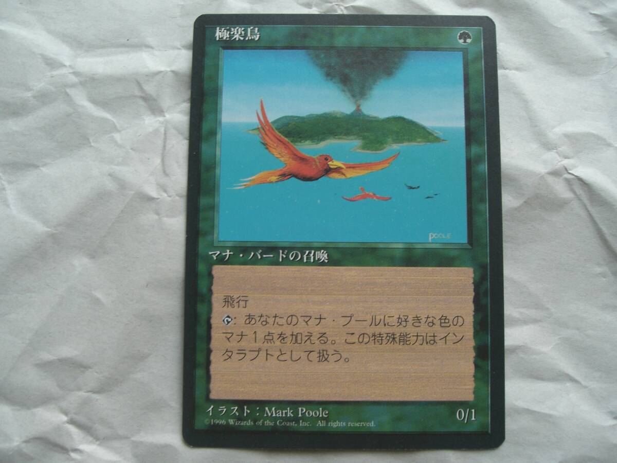 2025年最新】Yahoo!オークション -mtg 極楽鳥の中古品・新品・未