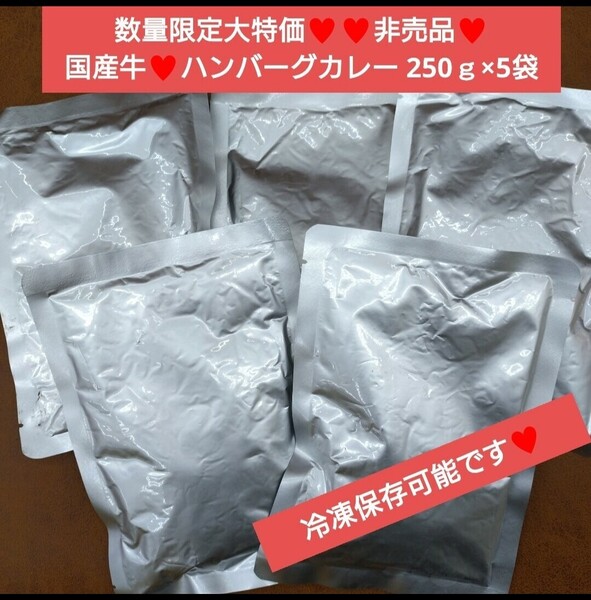 国産牛ハンバーグカレー 250g×5袋 カレー ハンバーグ レトルト 牛肉