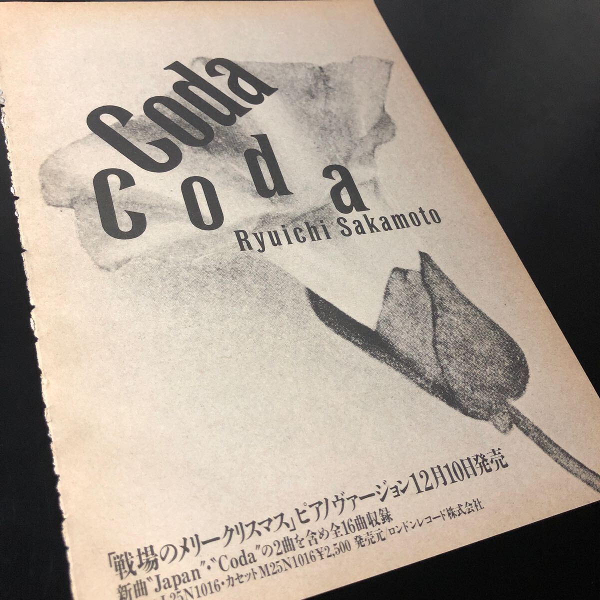 2025年最新】Yahoo!オークション -ymo(切り抜き)の中古品・新品