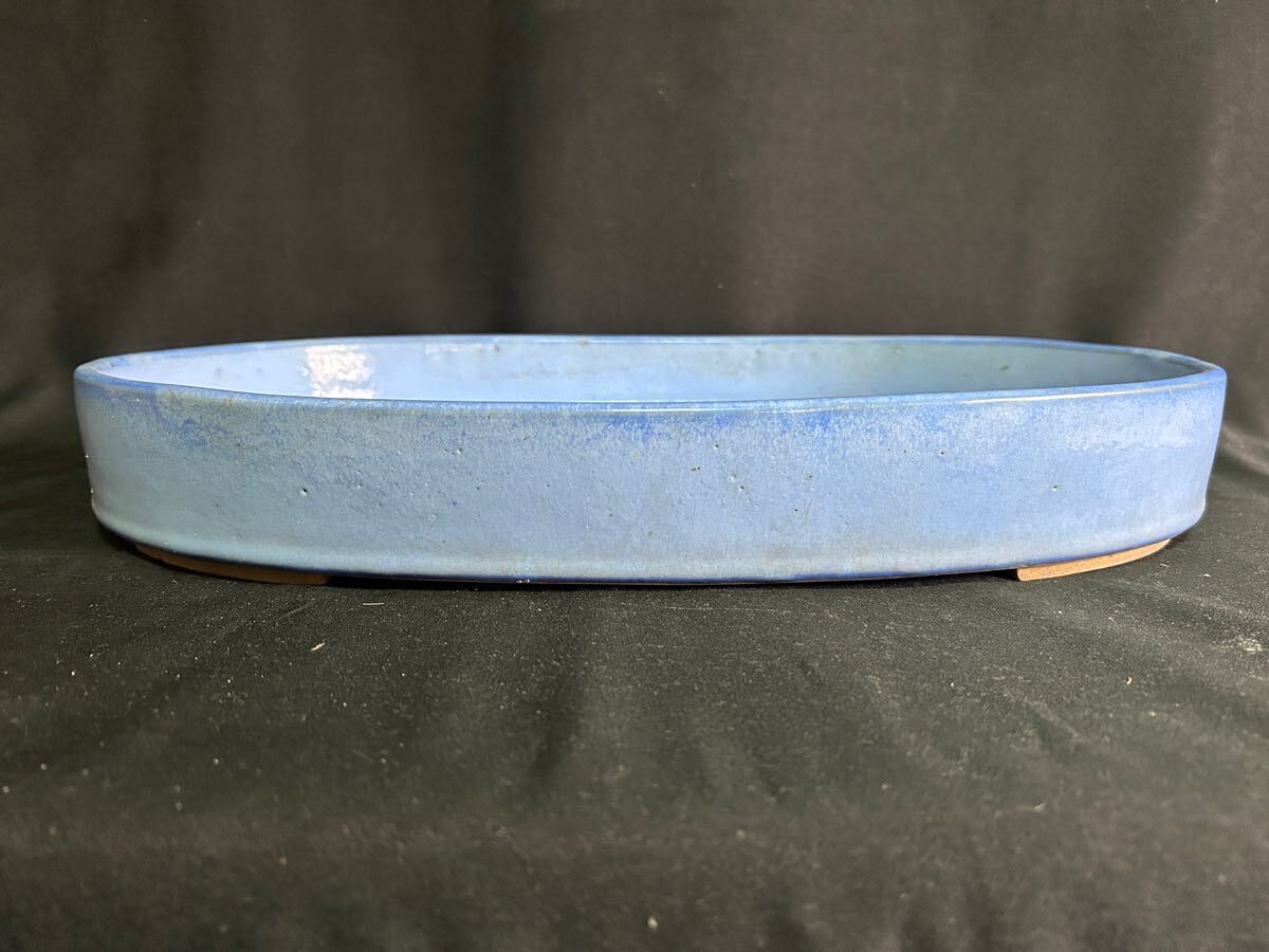秘色窯 常滑焼 未使用極美品 志野 群配 陶器 皿 太陽と月