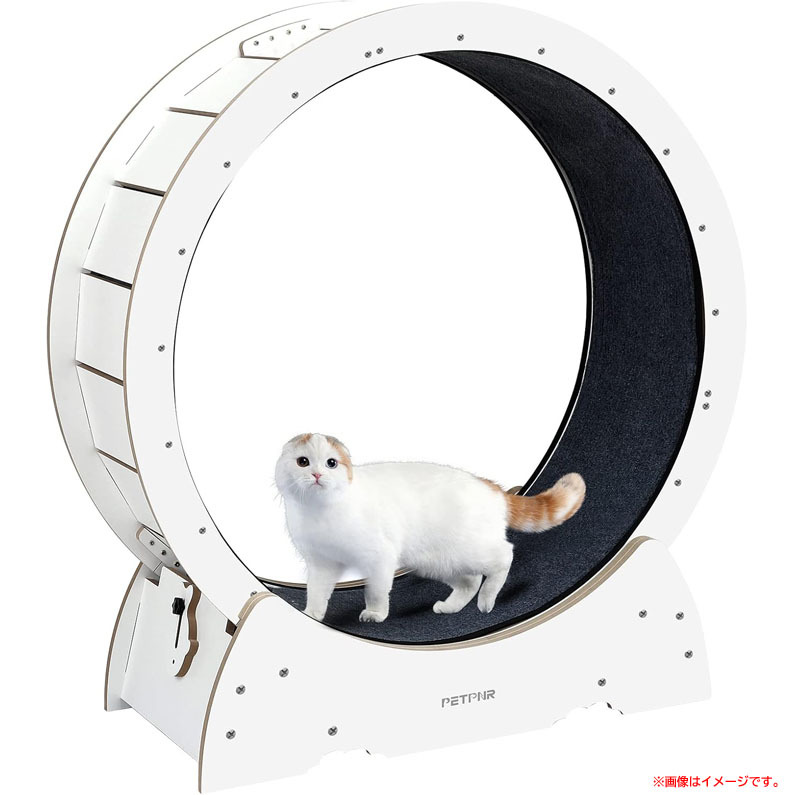 キャットホイール 中古の商品一覧 通販 - Yahoo!ショッピング