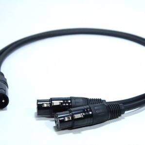 CANARE L-4E6S【3m / XLRオス-XLRメス / 2本セット】マイクケーブル バランス ステレオ オーディオ PA レコーディング