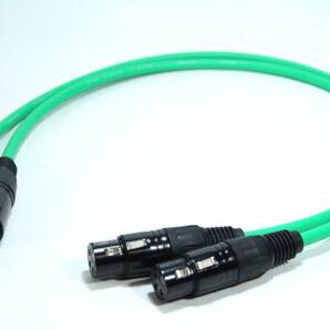 CANARE L-4E6S【1m / XLRオス-XLRメス / Green 緑 / 2本セット】マイクケーブル バランス ステレオ オーディオ PA レコーディング