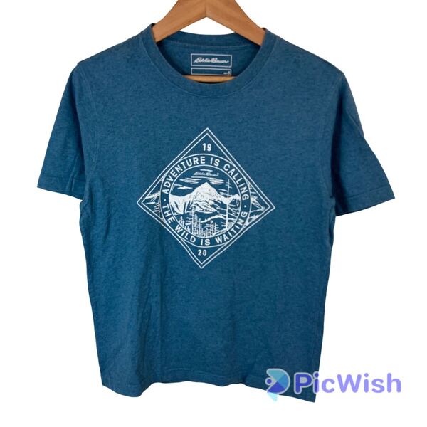 Eddie Bauer エディーバウアー men's メンズ トップス 半袖 tシャツ アウトドア キャンプ フェス マウンテン 登山 山登り size:S