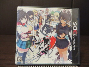 ◎3DS(任天堂3DS)『 閃乱カグラ(senran kagura) -少女達の真影- 』【中古品/起動確認済み】