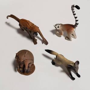 チョコエッグ おもしろ動物編 サバンナヒヒ ワオキツネザル オオミミギツネ アルマジロ 4種セット Furuta 監修 畑正憲 ムツゴロウさん