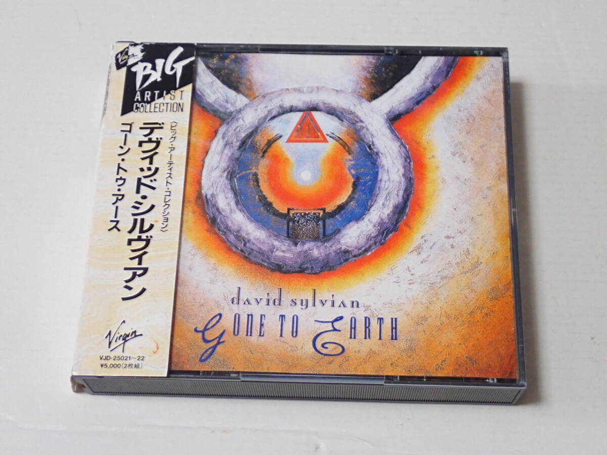 2025年最新】Yahoo!オークション - David Sylvian(D ロック
