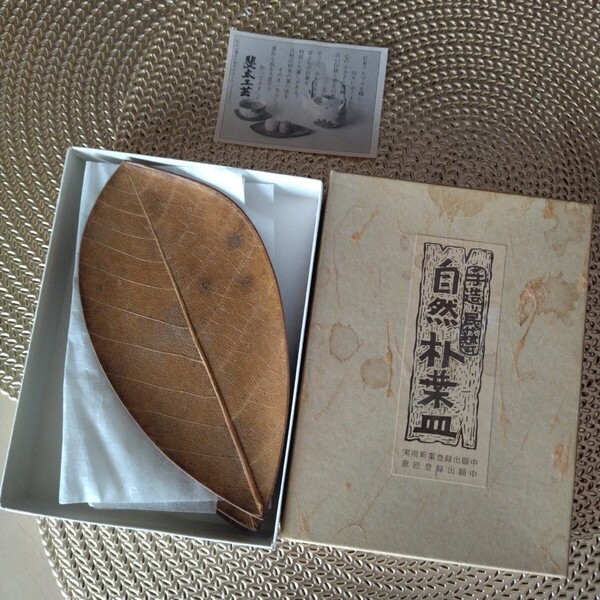 飛騨高山 自然朴葉 茶托 菓子器 銘々皿 五枚揃え 茶道
