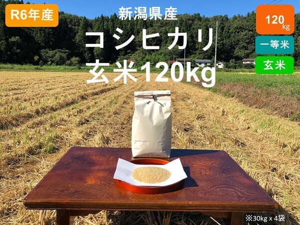 【玄米】R6新潟県産コシヒカリ 120kg