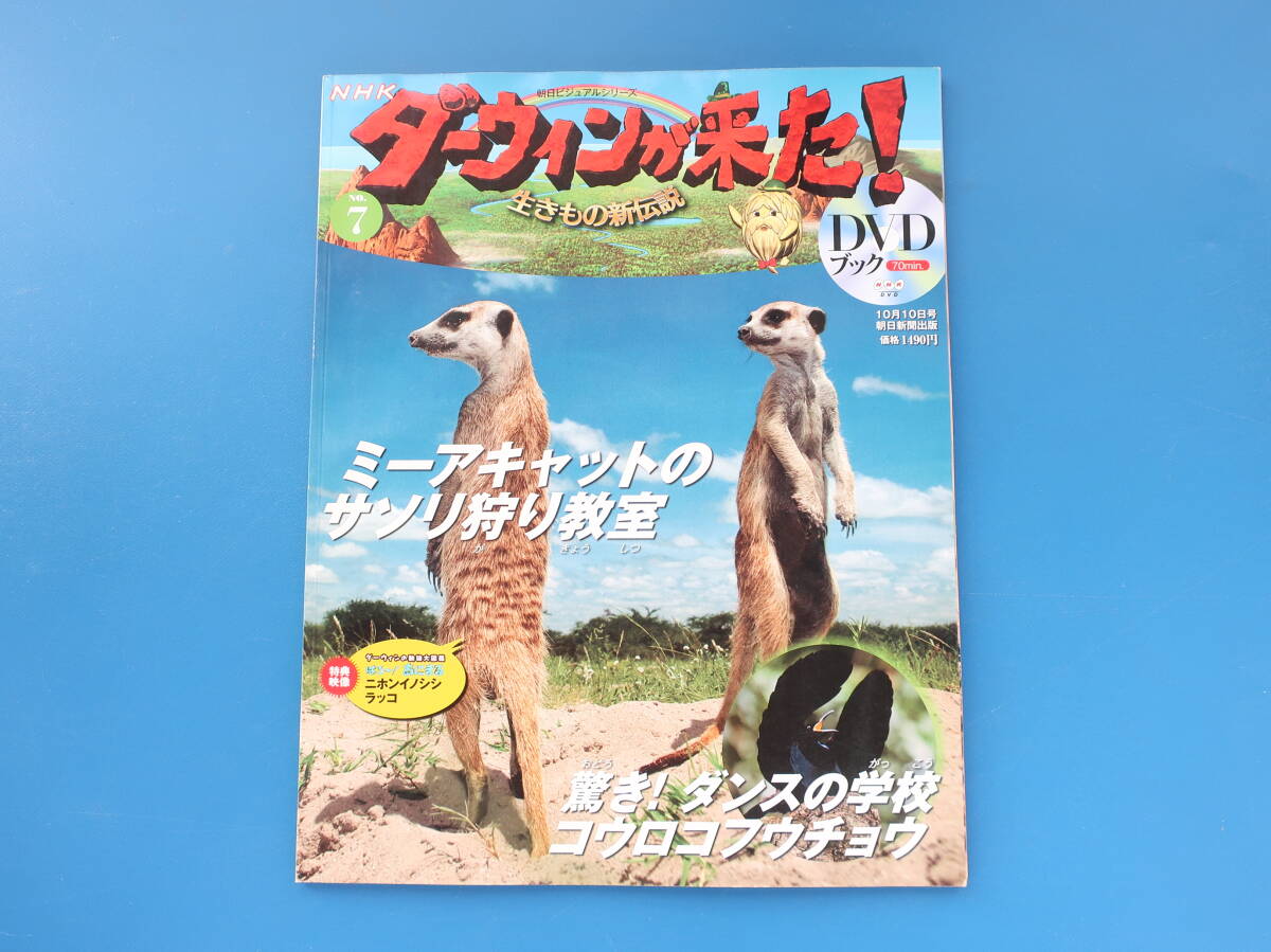 2025年最新】Yahoo!オークション -ダーウィンが来たの中古品