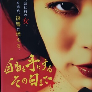 中古DVD 自由を手にするその日まで