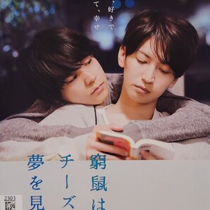中古DVD 窮鼠はチーズの夢を見る
