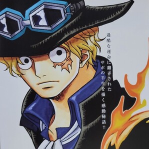 中古DVD ONE PIECE ワンピース エピソード オブ サボ ~3兄弟の絆 奇跡の再会と受け継がれる意志~