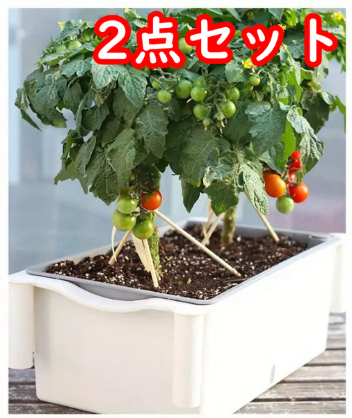 【2点セット】自動吸水植栽鍋 プランター 育苗ポット 野菜栽培ポット 屋内植物用プランター プランターポット(サイズ:43X25X12cm)