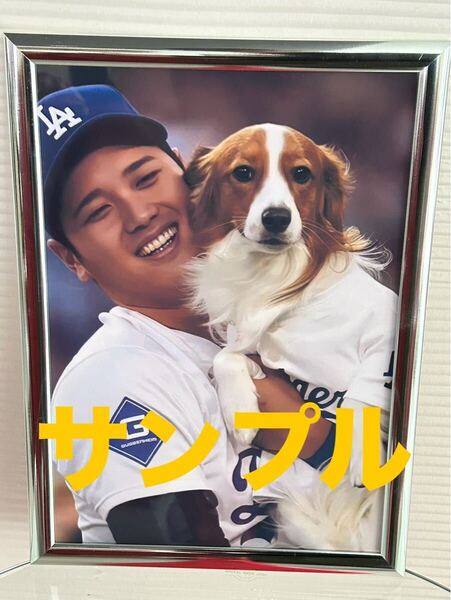 大谷翔平 A4写真 デコピンの始球式 他にも多数出品していますので是非ご覧下さい。フレームカラー銀色19MLB デコピン