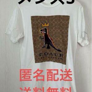 COACH Basquiat バスキア Tシャツ 恐竜 BTS テテ ホワイト