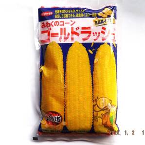新種 営利用 種子 サカタ交配 ゴールドラッシュスイートコーン (小分け) 100粒入 2袋 送料無料