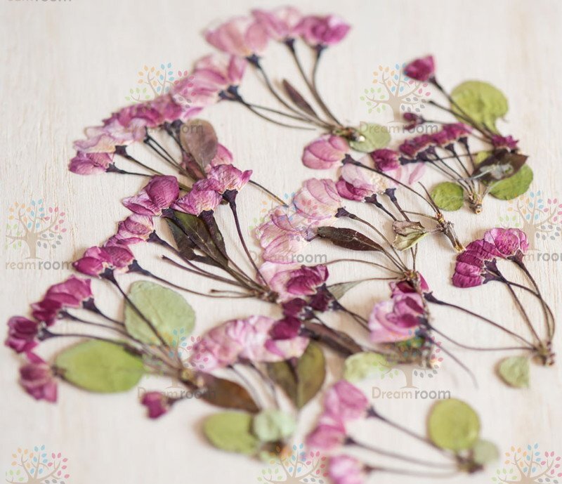 押し花 素材 ドライフラワー リーフ クラフト レジン DR012