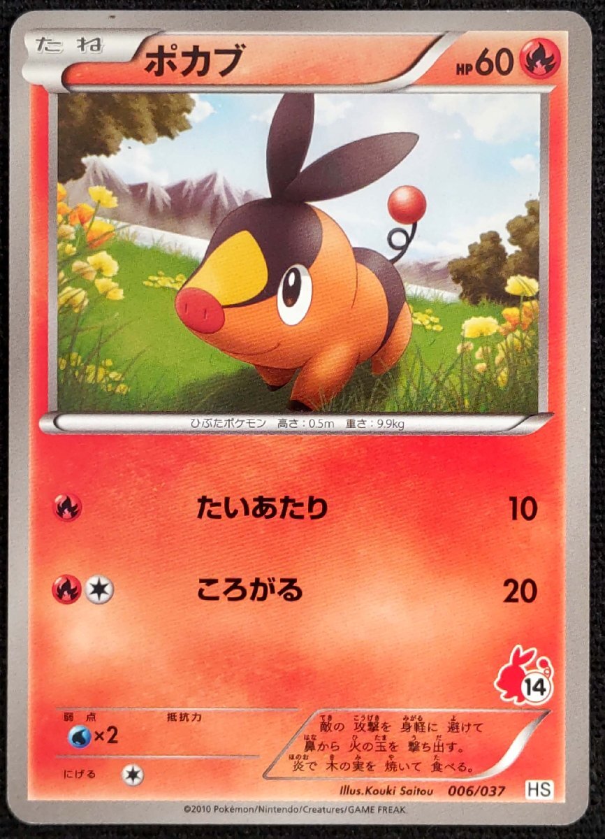 BW 御三家 ポカブ ツタージャ ミジュマル AR 進化ライン 60枚セット ミジュマルAR ポカブAR ツタージャAR 進化ライン各5枚セット