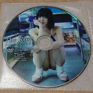 イメージDVD 南なこ The Rose ディスクのみ