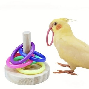 輪投げ バードトイ 鳥 おもちゃ インコ