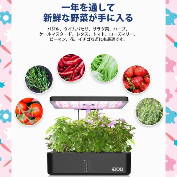 おすすめ ☆水耕栽培 セット 室内 耐久性抜群 コンパクトデザイン