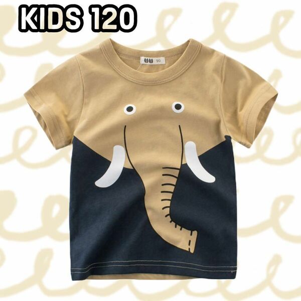 新品 ゾウさんTシャツ 120センチ キッズ アニマル カットソー 綿100% かわいい 子供服 動物好き