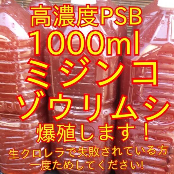 送料無料★ミジンコ、ゾウリムシ爆殖します★自家培養★高濃度光合成細菌PSB1000ml+培養用エビオス錠9錠★生クロレラも出品中★