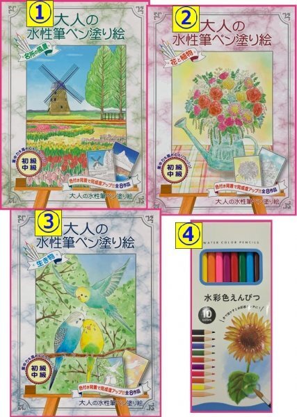 【送料無料 選べる 3点 大人のぬりえ,色鉛筆】★水性筆ペン塗り絵:初心者:心を安定:ストレス解消:風景 花 生き物 ぬり絵 認知症予防 脳トレ