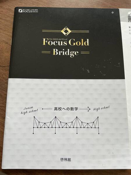 Focus Gold Bridge 高校への数学
