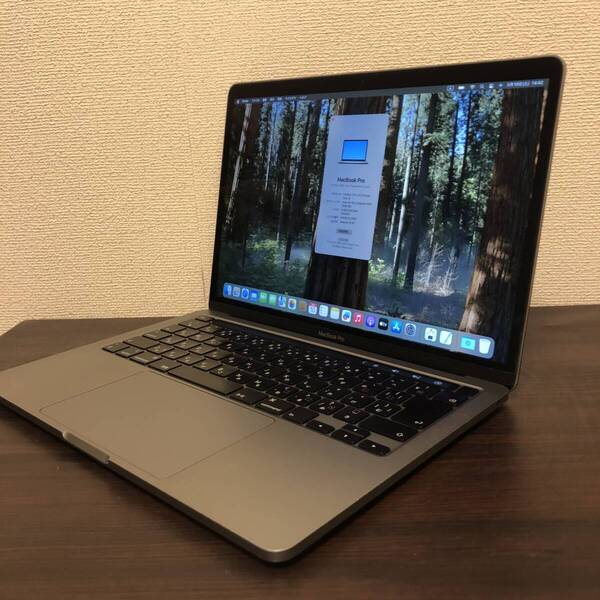 MacBook Pro (13-inch, 2020) macOS Sequoia