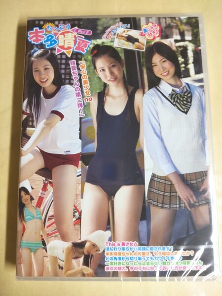 正規品 未開封 本多晴夏 たっぷり Part2 アイドルDVD