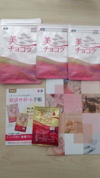 エーザイ 美チョコラ 90粒×1& 21粒×2袋セット エンリッチ4粒プレゼント