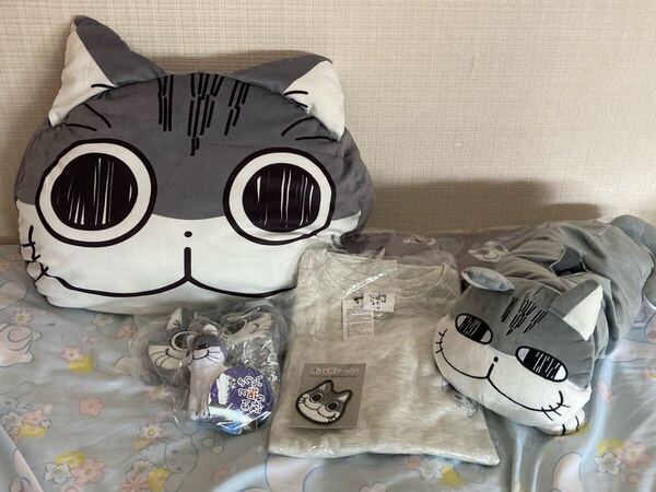 夜は猫といっしょ キュルガ Mサイズ