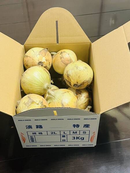 淡路島産新玉ねぎ七宝中生3kg 農家直送