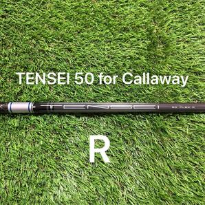 新品R TENSEI 50 パラダイム Ai スモーク マックス 純正 シャフト ドライバー用 日本仕様 正規品