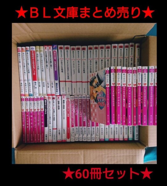 BL文庫◆60冊 まとめ売り! 人気作家 人気作品 レア 作家リストは、商品説明に記載 ボーイズラブ BL ルビー文庫 ルチル 名作