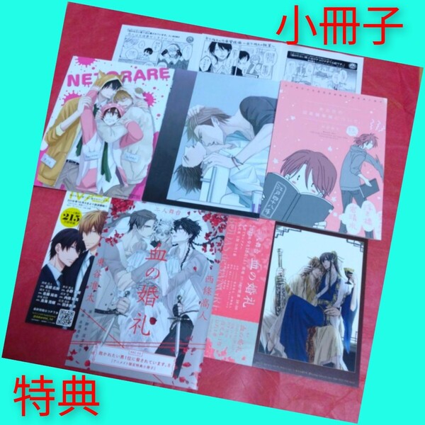 桜日梯子 抱かれたい男1位に脅されています。 アニメイト特典 小冊子 レア 12点セット