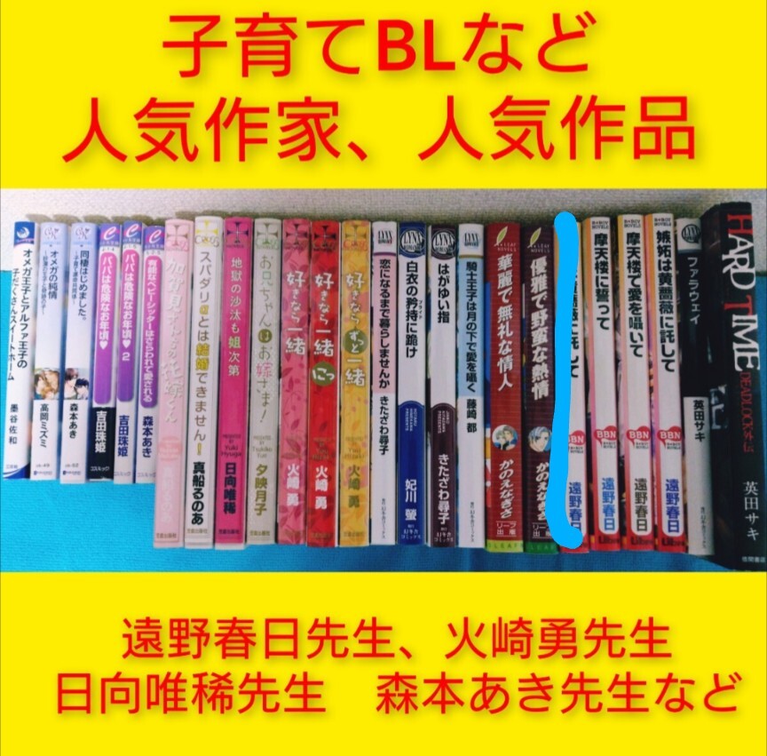 商業BL まとめ売り 日向唯稀 妃川螢 水上ルイ 天野かづき 若月
