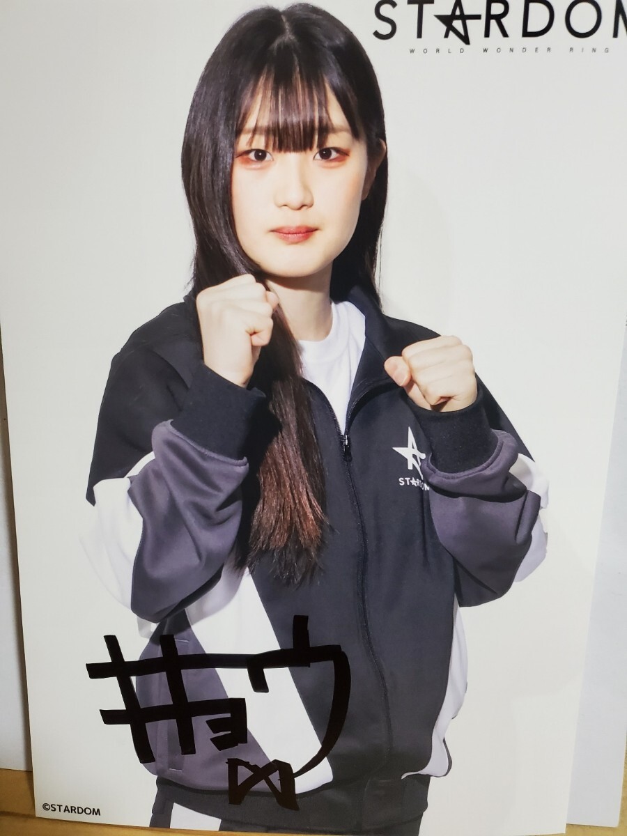 2025年最新】Yahoo!オークション -スターダム サインの中古品