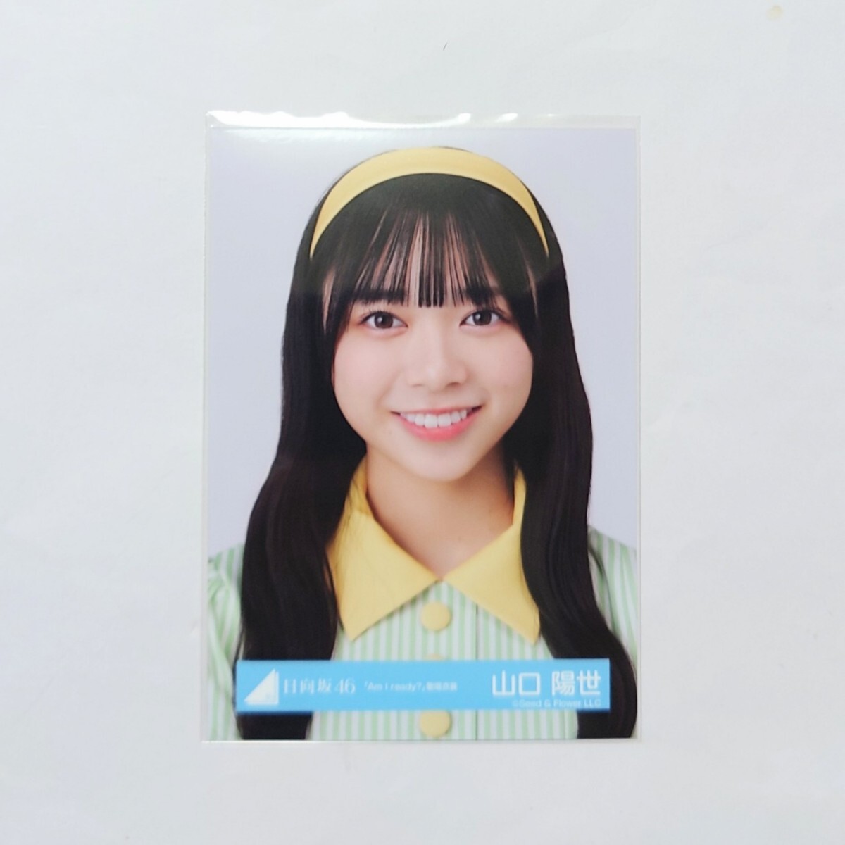 Fushigidane様】日向坂46 山口陽世「君しか勝たん」直筆サイン生写真