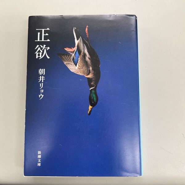 送料無料!! 即決 正欲 朝井リョウ/著 カバー破れ有
