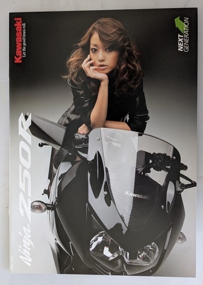 ニンジャ250R / Ninja250R (JBK-EX250K) 車体カタログ 2009年10月 Ninja 250R ニンジャ 250R 古本・即決・送料無料 管理№ 8249 P