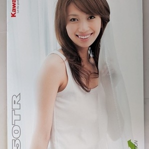 250TR (JBK-BJ250F) 車体カタログ 2009年7月 250TR BJ250F 古本・即決・送料無料 管理№ 8294 U