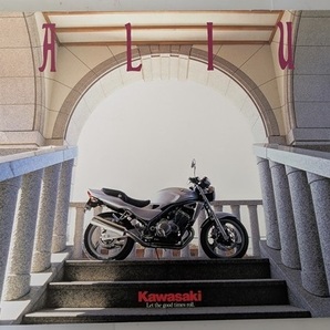 バリウス (ZR250A) 車体カタログ 平成8年3月 BALIUS ZR250A 古本・即決・送料無料 管理№ 8299 U