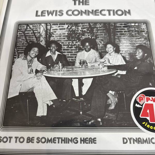 THE LEWIS CONNECTION GoToBeSomethingHere 新品未使用送料込み