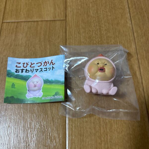 未開封 こびとづかん おすわりマスコット ガチャガチャ フィギュア カクレモモジリ カプセルトイ